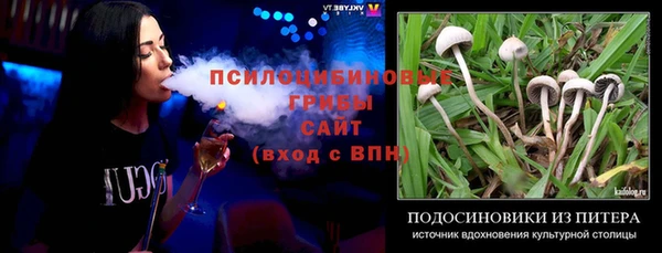 мдпв Краснослободск