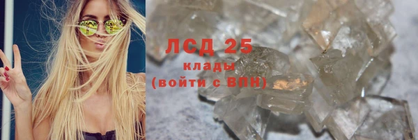 мдпв Краснослободск