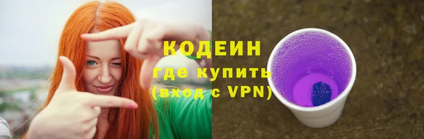 мдпв Краснослободск