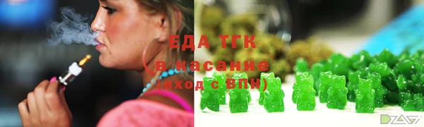 мдпв Краснослободск