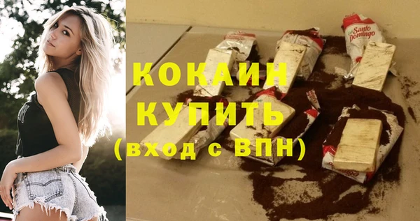 мдпв Краснослободск