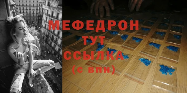 мдпв Краснослободск
