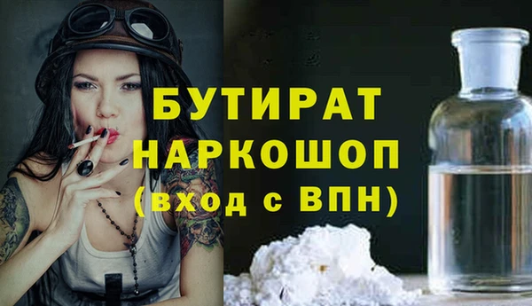 мдпв Краснослободск