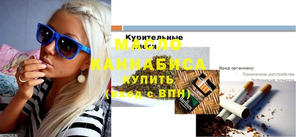 мдпв Краснослободск