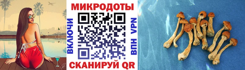 Галлюциногенные грибы Cubensis  Южа 