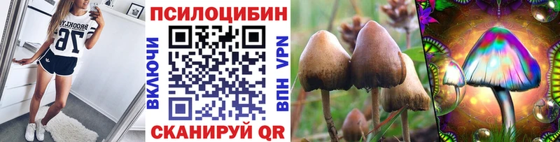Галлюциногенные грибы Magic Shrooms Южа