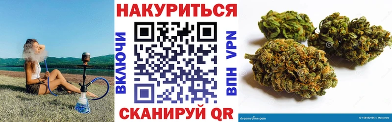 Шишки марихуана Amnesia  где можно купить наркотик  Южа 
